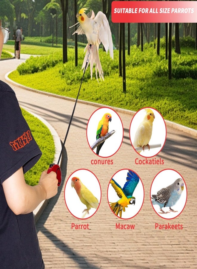 OOXYG Retractable Bird Leash, 9.8ft Anti-Bite Bird Harness, Adjustable Parrot Harness with 3 Sizes Foot Rings, Outdoor Flying Harness for Macaws, Cockatiels, Macaws, Conures, Parrot, Parakeet - Image 5